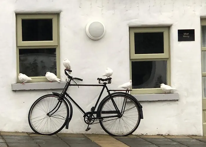 Kilkee Bed & Breakfasts 