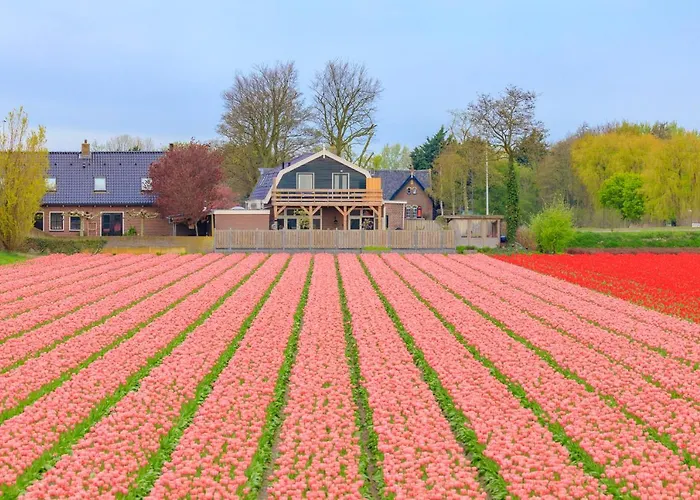 Lisse Bed & Breakfasts 