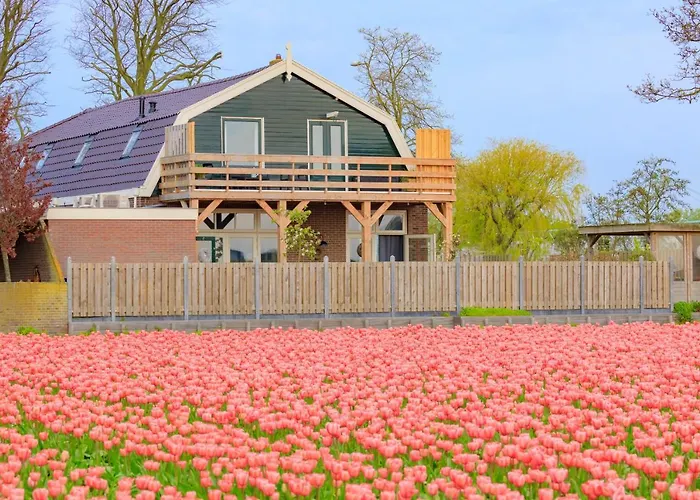 B&B Blossom