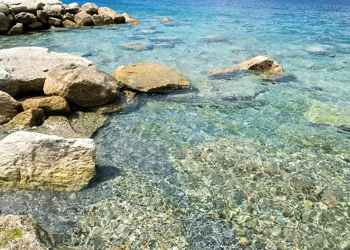 Il corallo azzurro