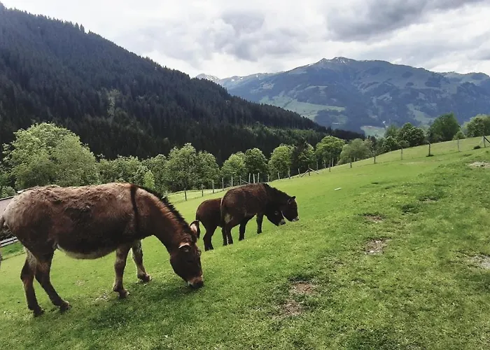 Privatzimmervermietung Foidlbauer