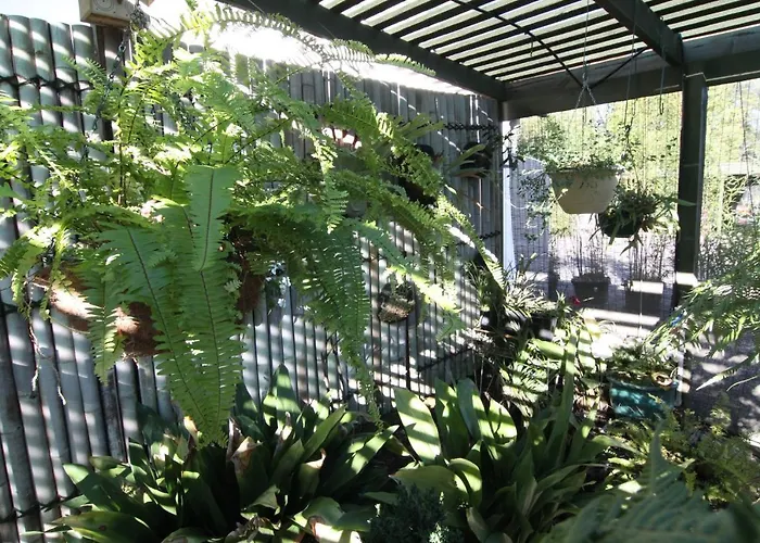 Westering Cottage