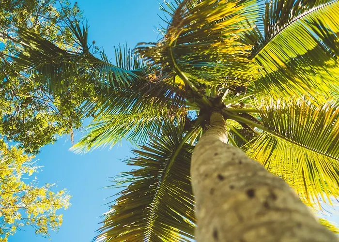 Vieques Bed & Breakfasts 