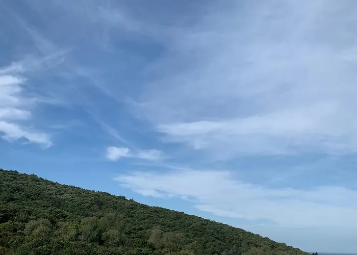 Al bosco incantato