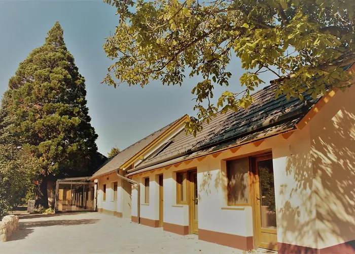 Mamutfenyo Panzio