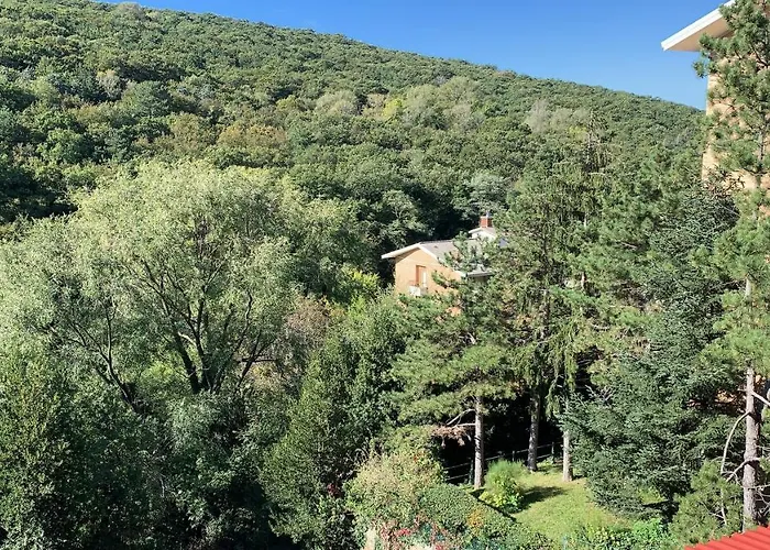 Al bosco incantato