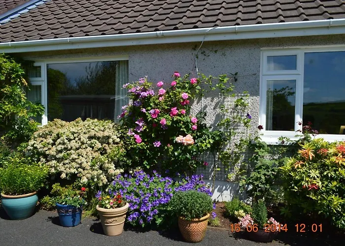 Meadow View B&B