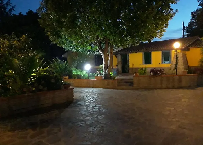 La Camelia B&B
