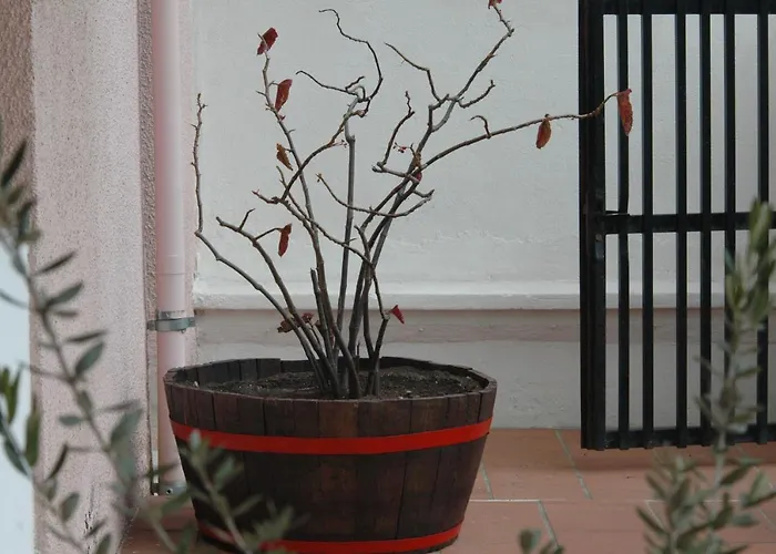 B&B La Terrazza