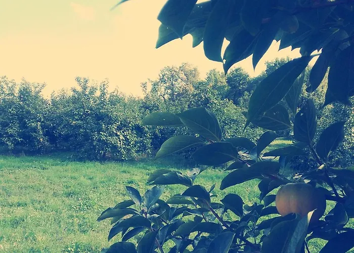 Cascina Bucolica