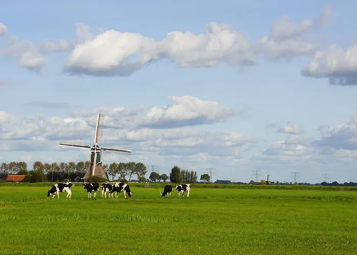 Vertoeven Bij Verhoeven