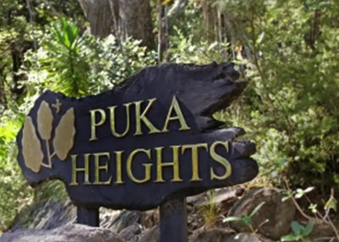 Puka Heights