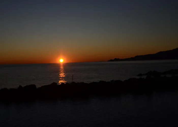 la gatta sul sentiero