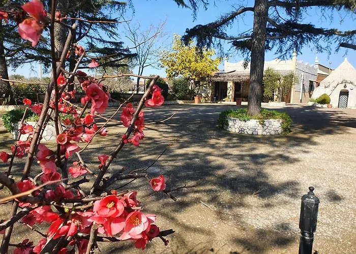 B&B Mandorla Amara