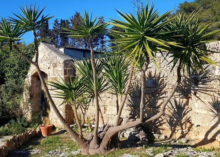 Masseria Artemisia