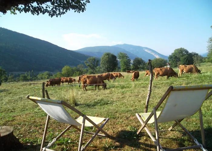 La Buissonniere