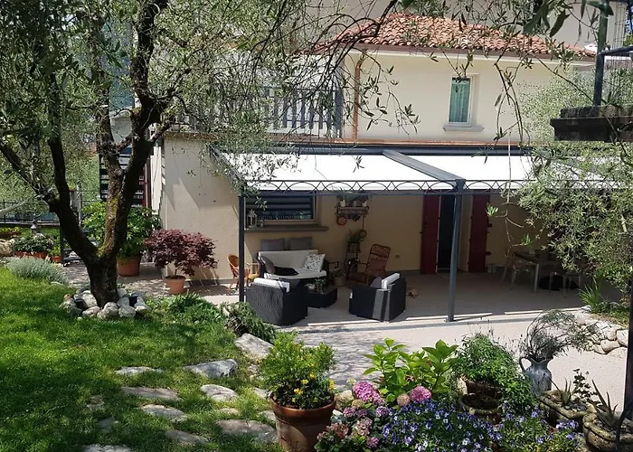 B&B Forsesiforseno