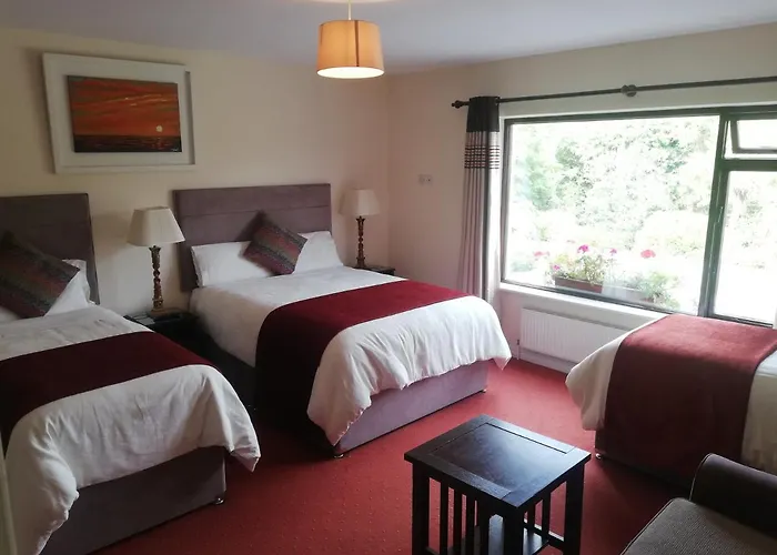 O'Sheas Ceol Na Habhann B&B