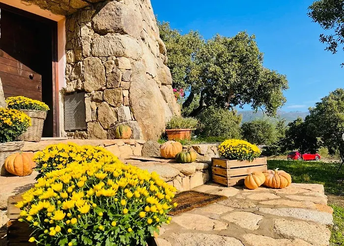 Il Nuraghe del lago Coghinas