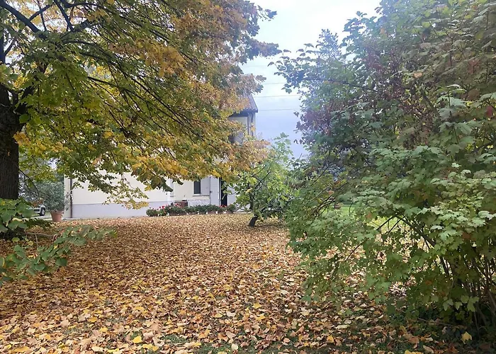 Acero Giallo