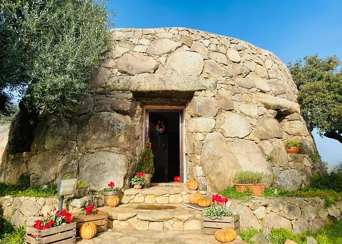 Il Nuraghe Del Lago Coghinas