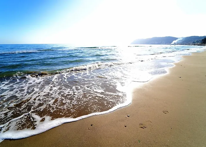 Bed & Breakfast My Home - Alassio