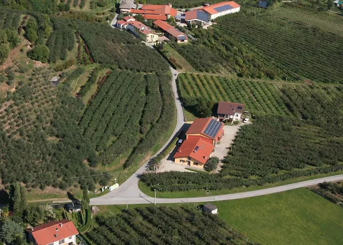Agrialpi by Salfrutta