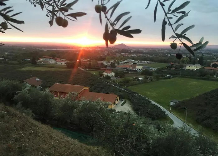 Agrialpi by Salfrutta