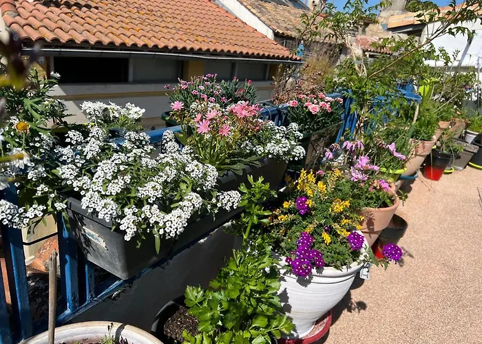Loft Apartment , La Terrasse Centre Ville D'Arles,