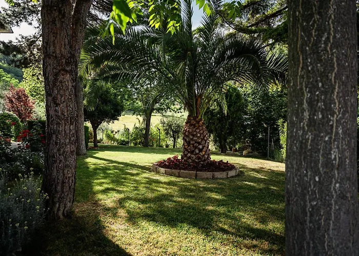 Il Girasole