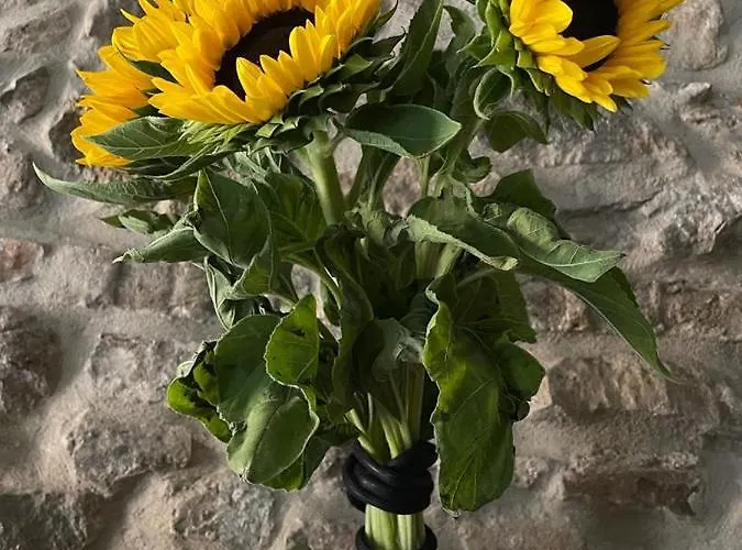 Torre Dell'Angelo B&B