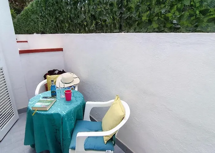 Summer Vibes B&B