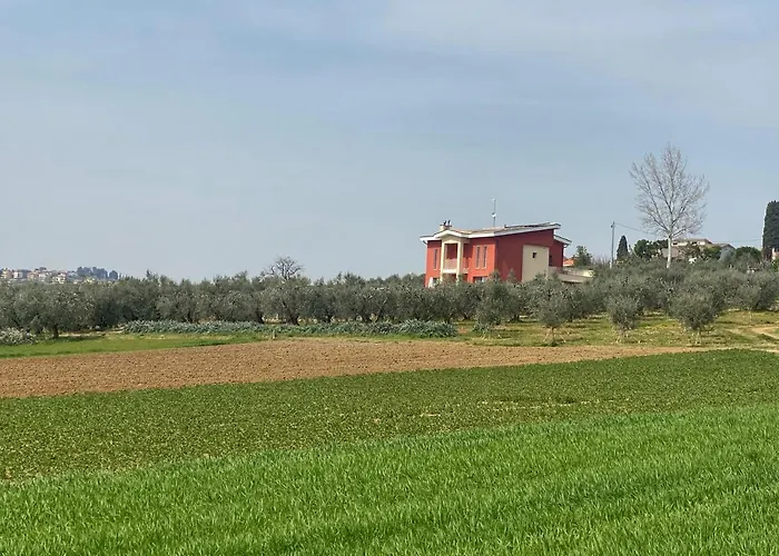 Olea B&B