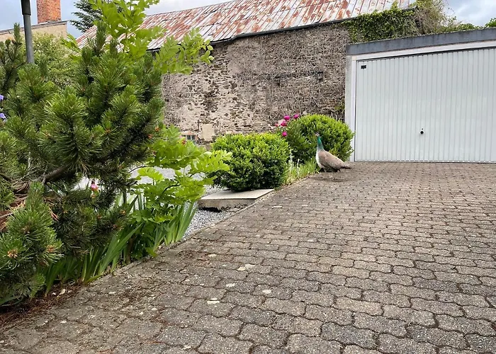 Keller Hoehe