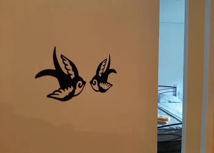 Bed And Breakfast Swallow