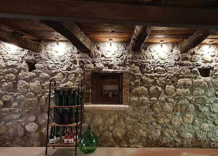 Vinea del Selvatico cascina agricola
