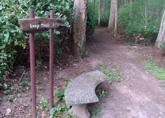 Inn To The Woods
