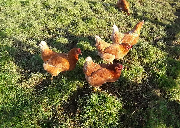 Sharlands Farm Bed And Breakfast