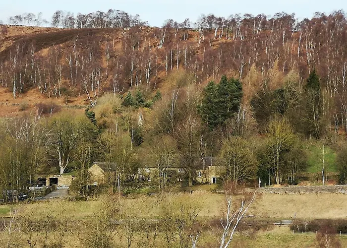 Robin Hood Farm B&B