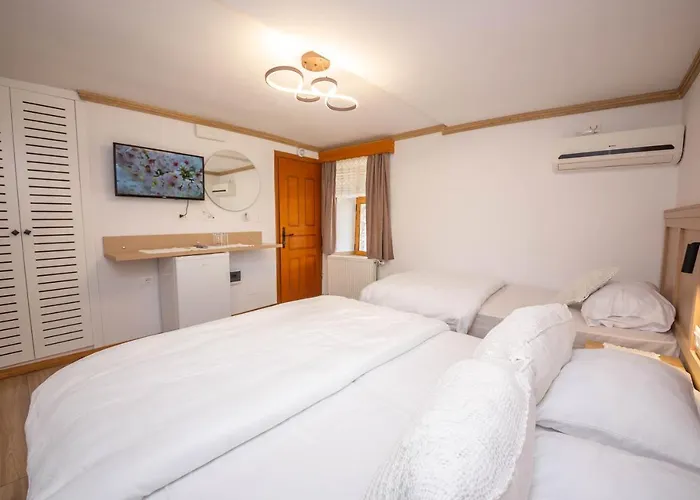 Bed And Breakfast Kotoni