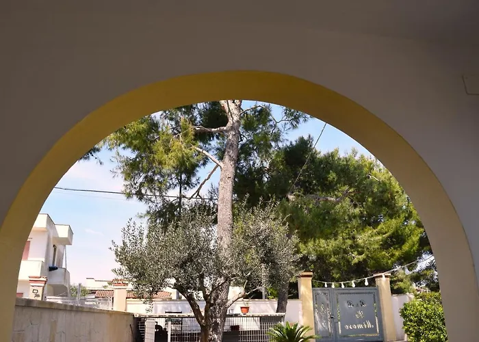 Le Mimose