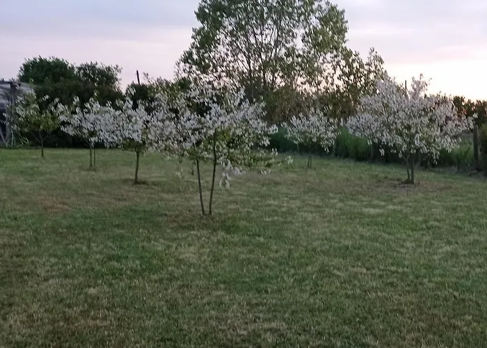 Il Casale di Giulia di Aprilia