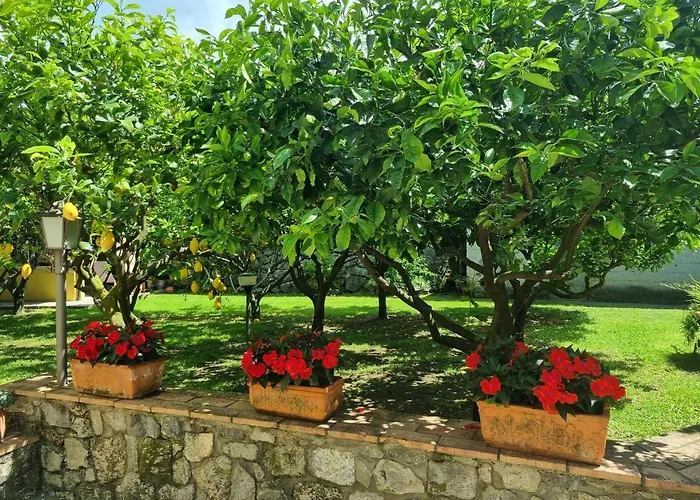 Il Ruscello