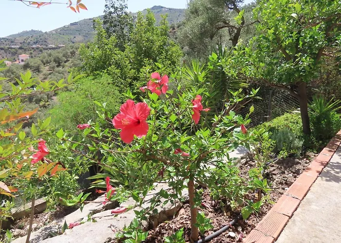Finca Flor