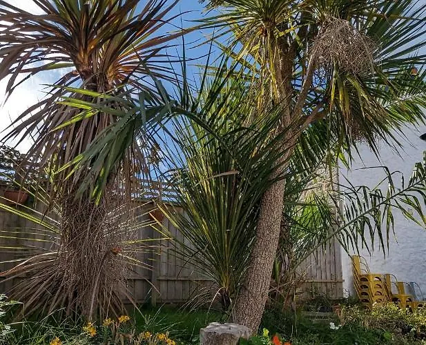 Britannia House Vintage B&B Cornwall