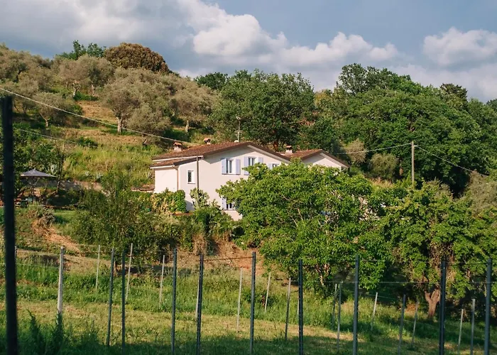 Caterina e l'Indaco