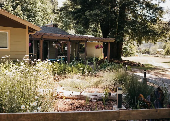 Taylor Creek Lodge