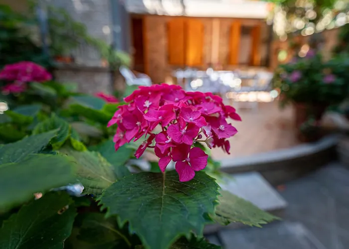 B&B La Gatta Blu