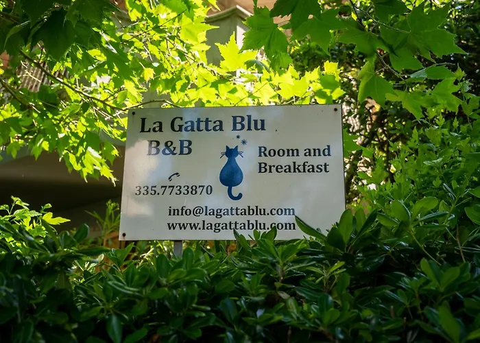 Cattolica Bed & Breakfasts 