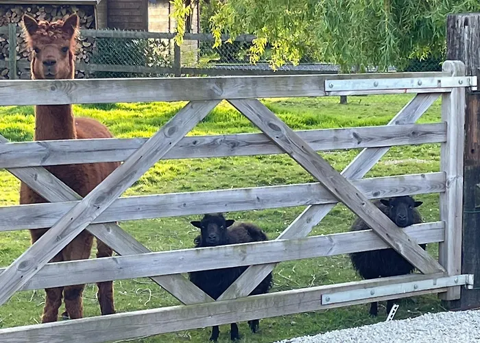 Aux Murmures De La Nature B&B